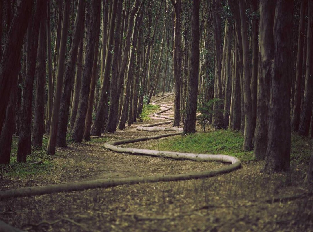 From Concept to Reality: Notable Projects and Guides