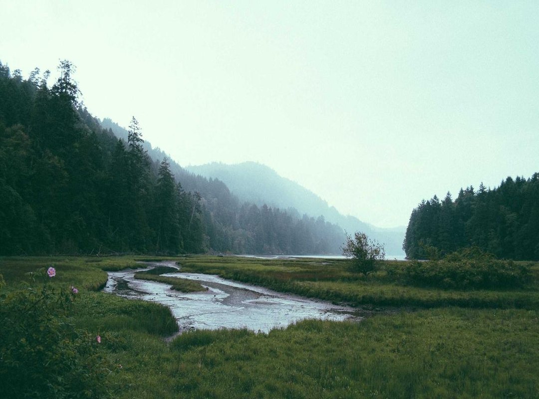 What You Can Find Inside: Navigating Key Portal Features