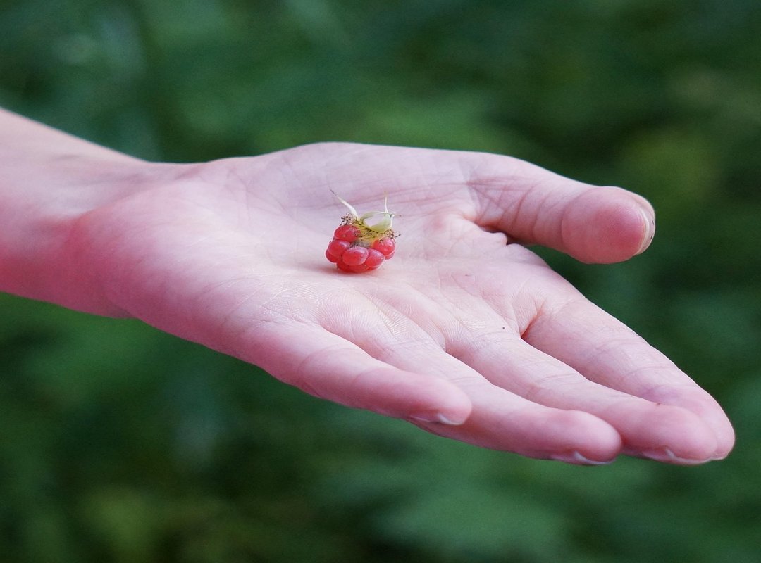 How to Start Drawing, Even If You're 'Not an Artist'