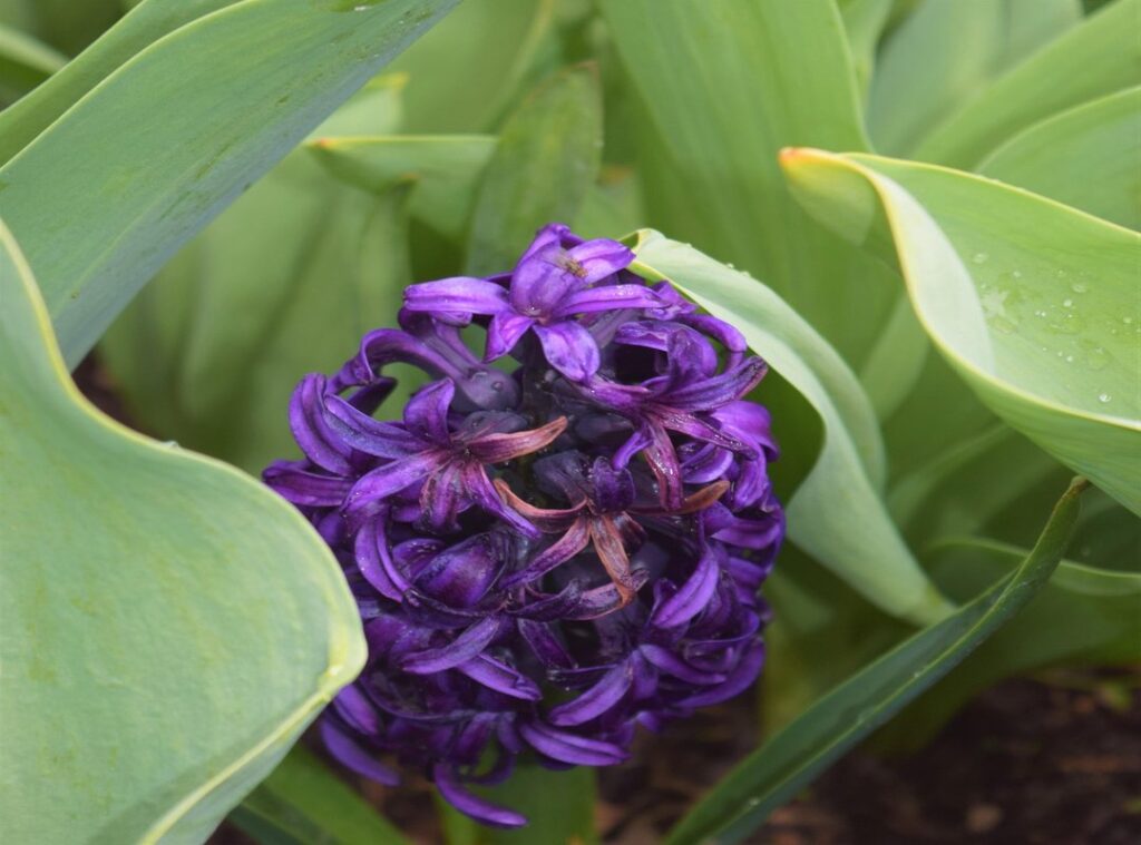 Europe lesser-known wonders