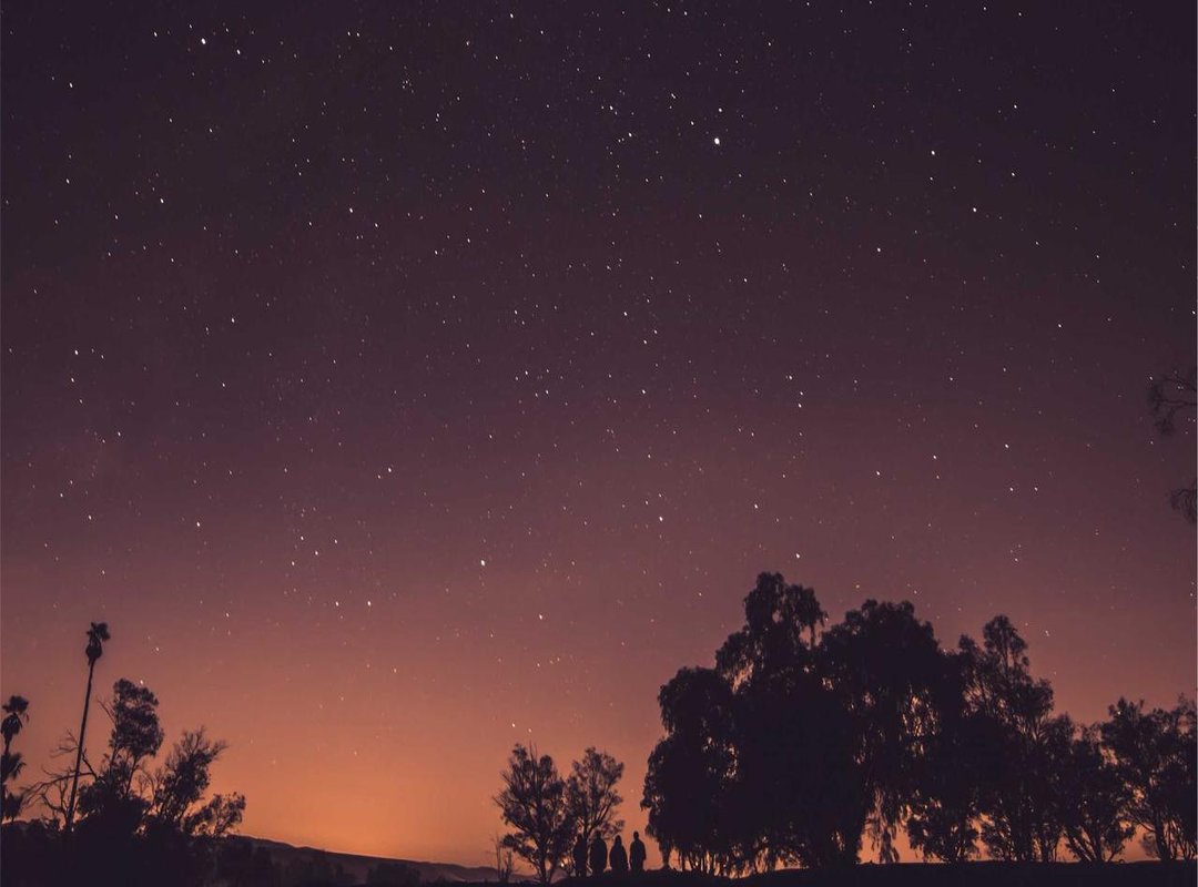 Character Deep Dive: The In-Game Dynamics of Neuvillette and Furina