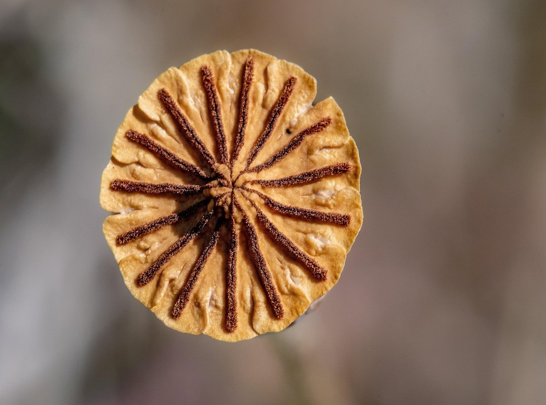 Common Mistakes to Avoid When Wearing Nude Colors