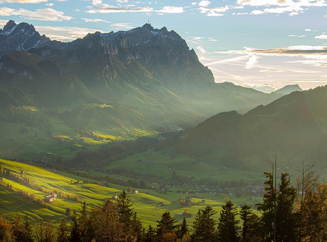 The History and Lasting Appeal of the Song