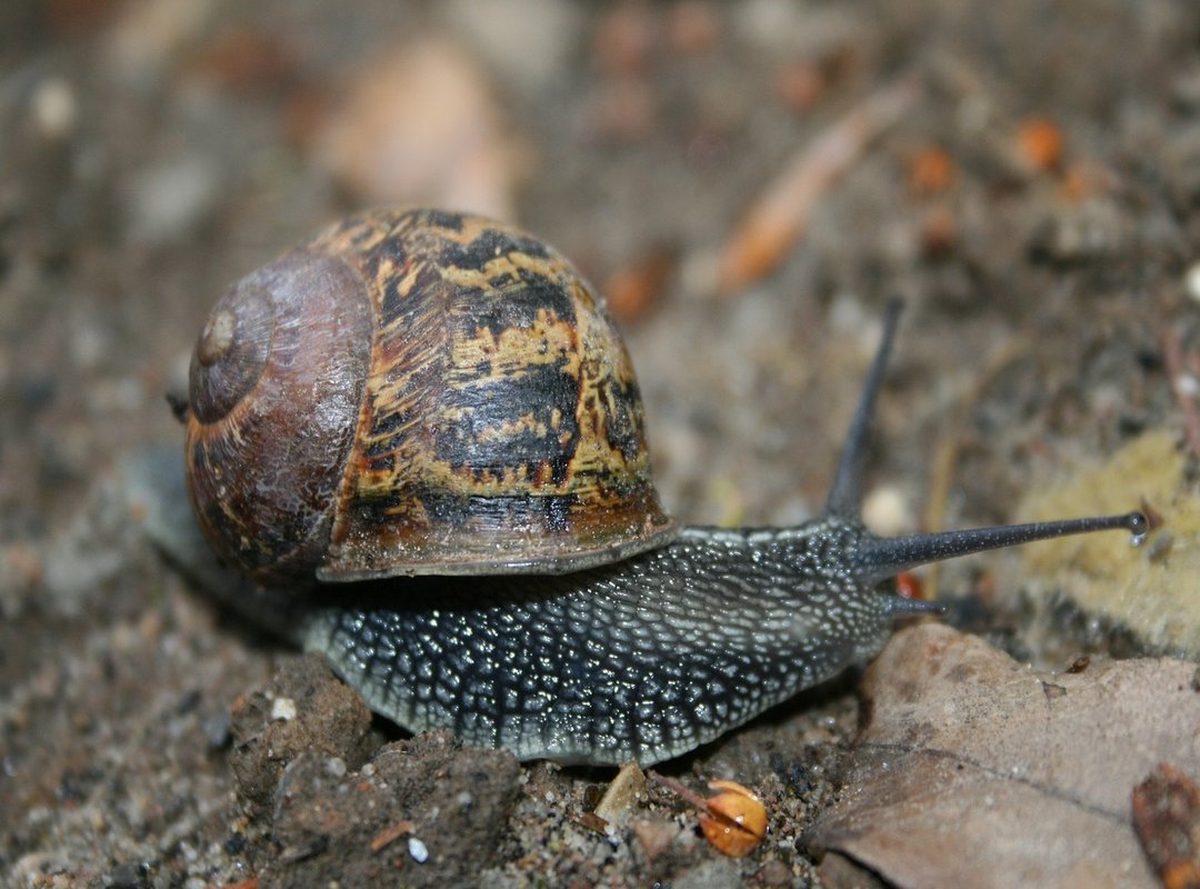 Get Started with Trade Serax 5X in 3 Simple Steps