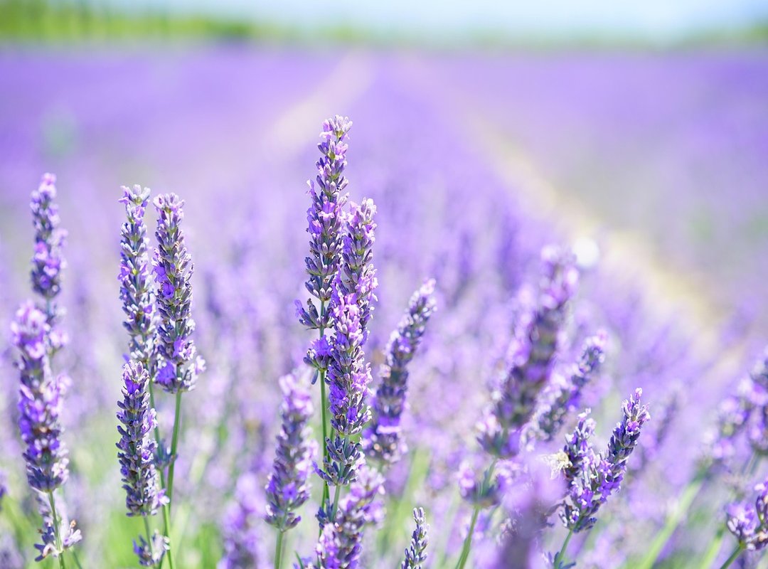 Where to Travel in France Jexptravel